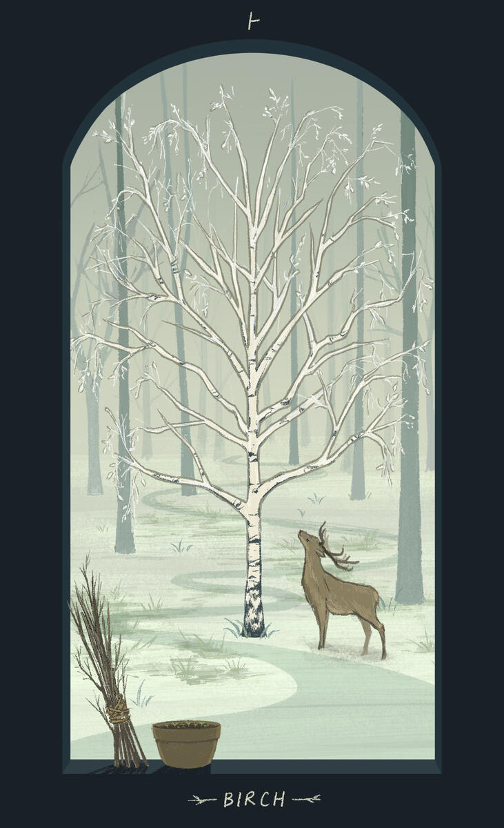 The Birch Tree and the Stag (2023)